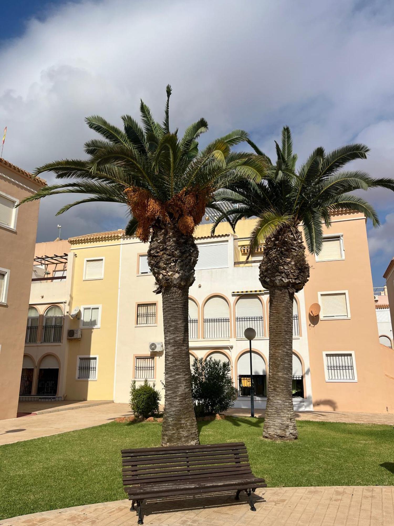 Torrevieja 2 Bedrooms Appartment Bagian luar foto