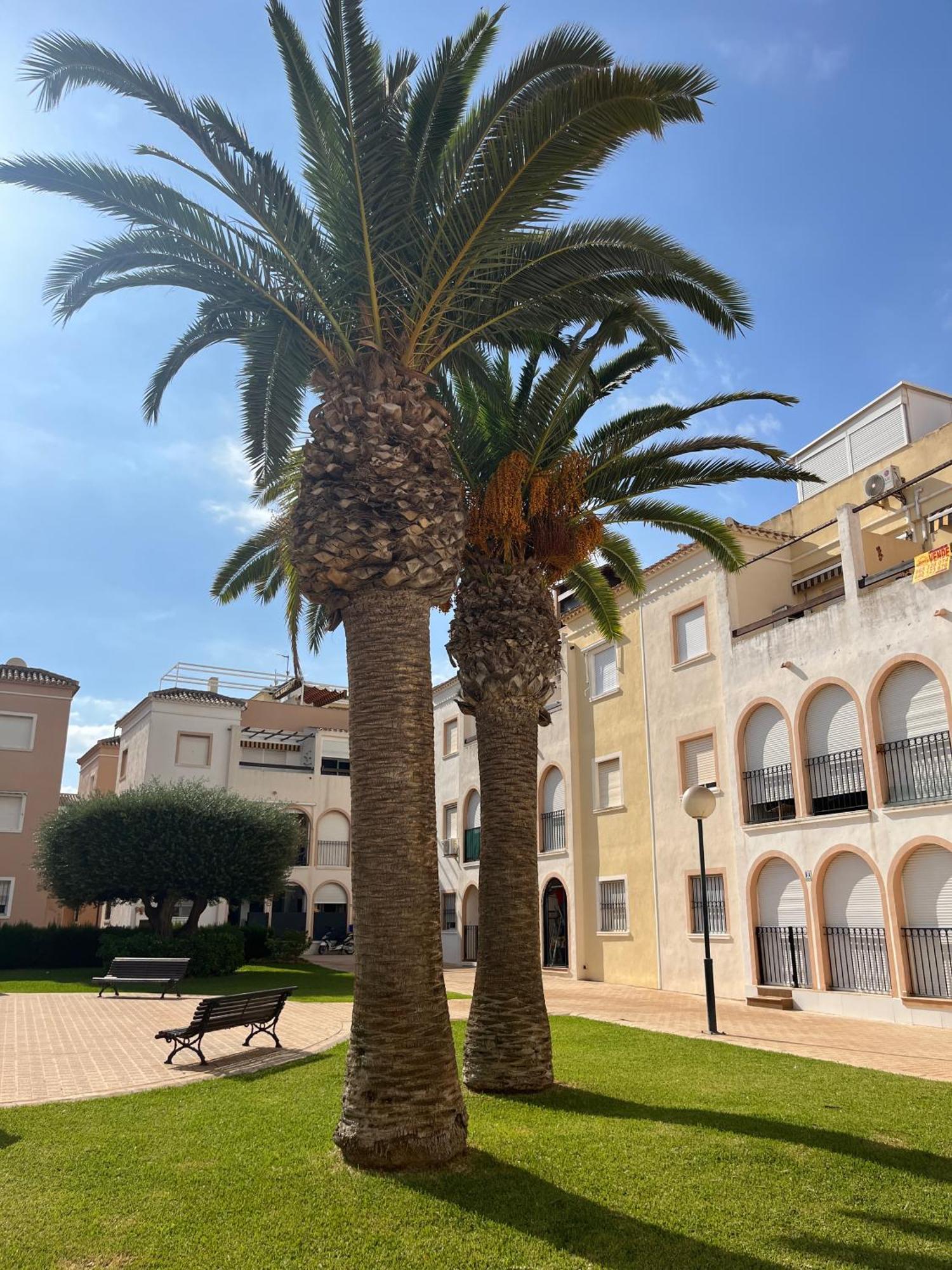 Torrevieja 2 Bedrooms Appartment Bagian luar foto